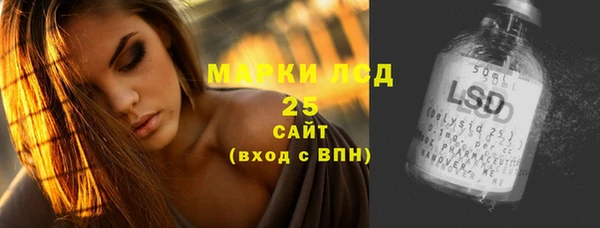 соль ск Няндома