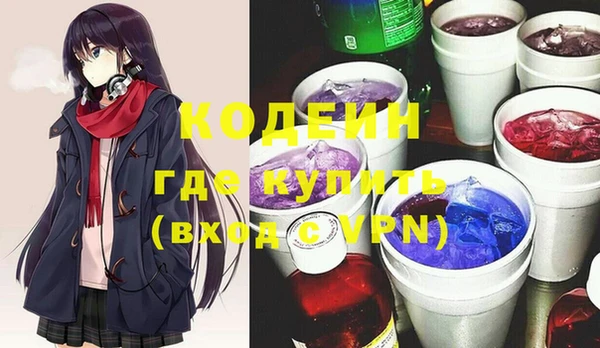 соль ск Няндома