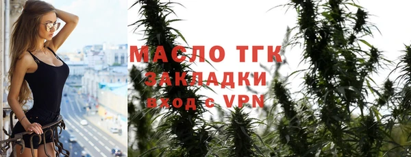 соль ск Няндома
