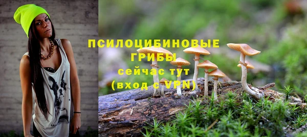 соль ск Няндома