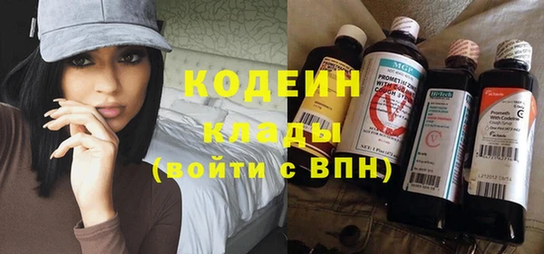 соль ск Няндома