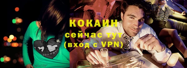 соль ск Няндома